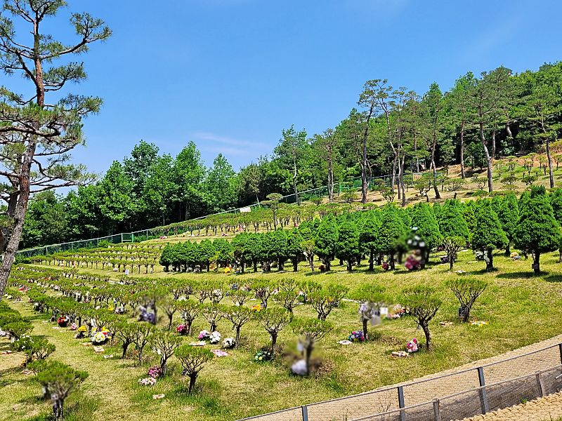 김포수목장A