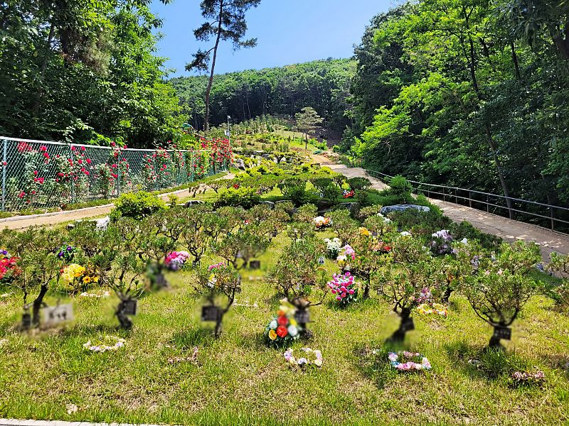 김포수목장A