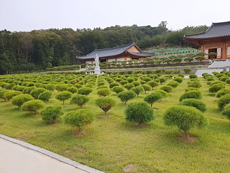 김포수목장B