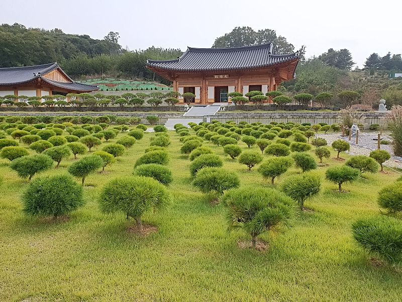 김포수목장B