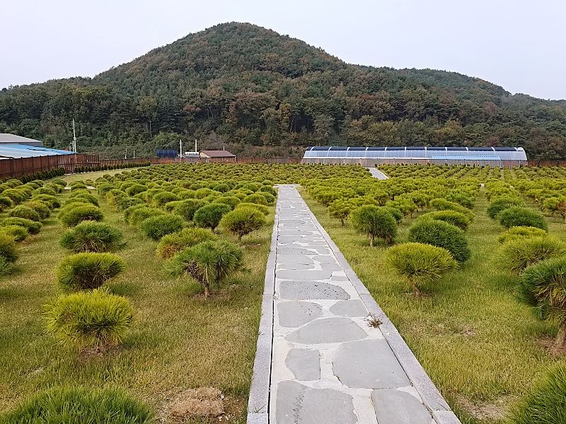 김포수목장B