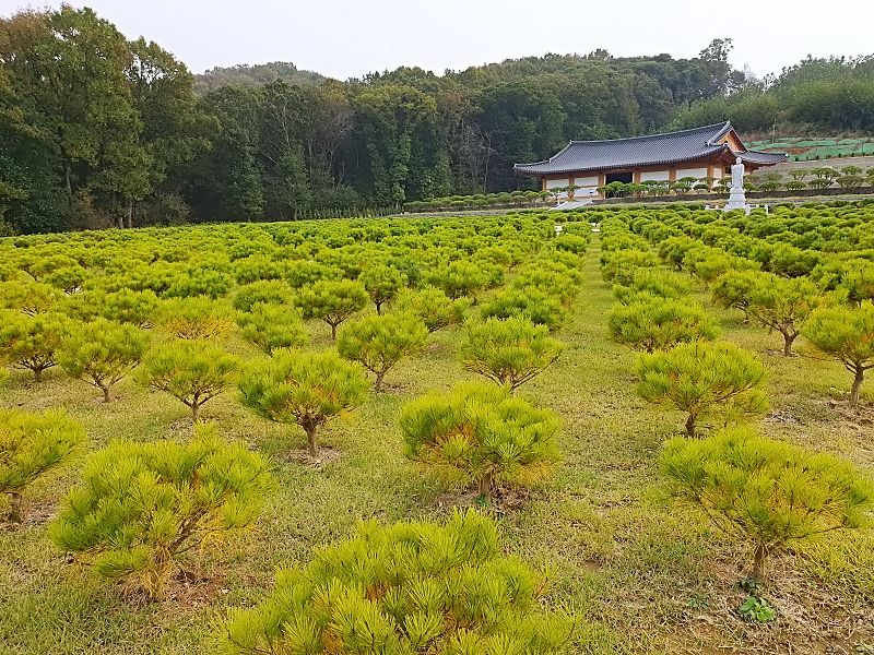 김포수목장B