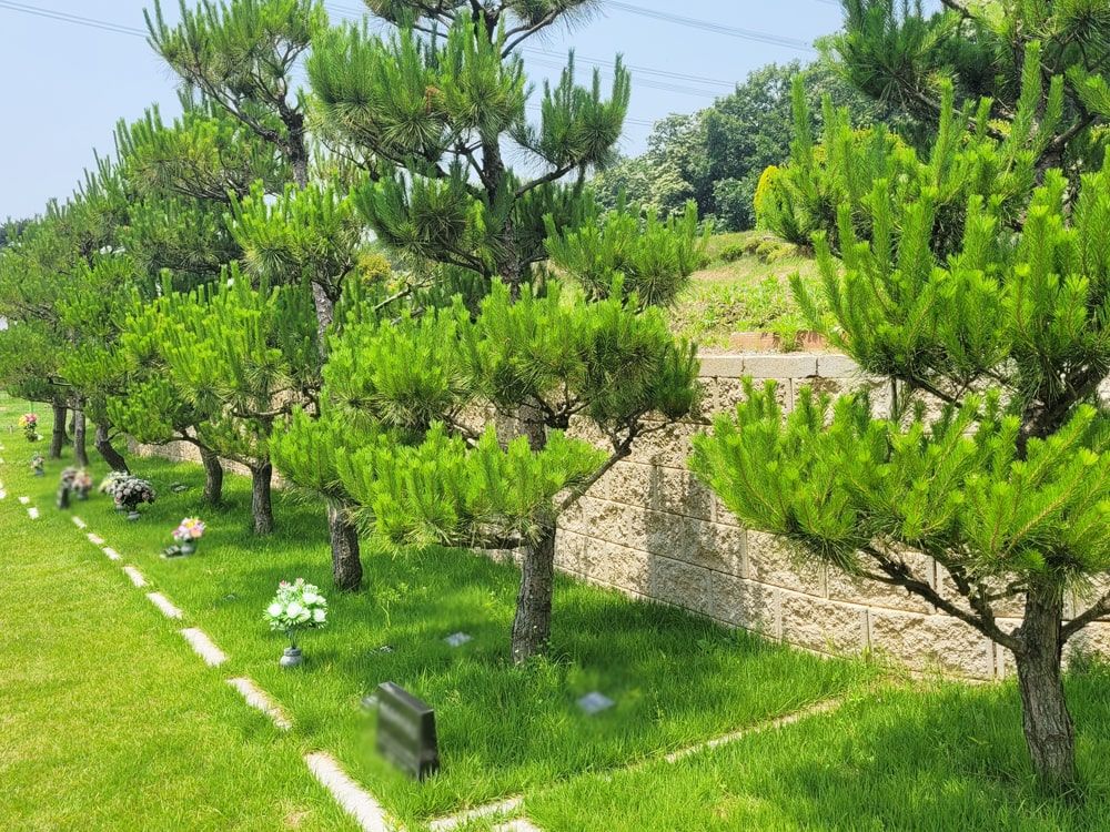 화성수목장