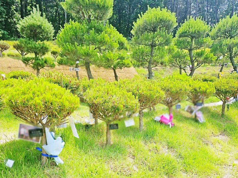일산수목장A