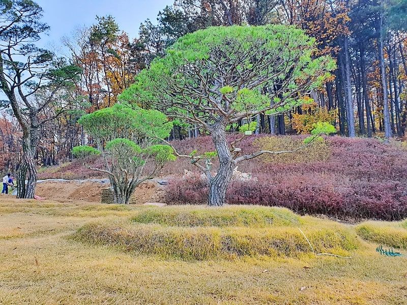일산수목장A