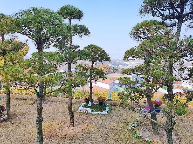 일산수목장A