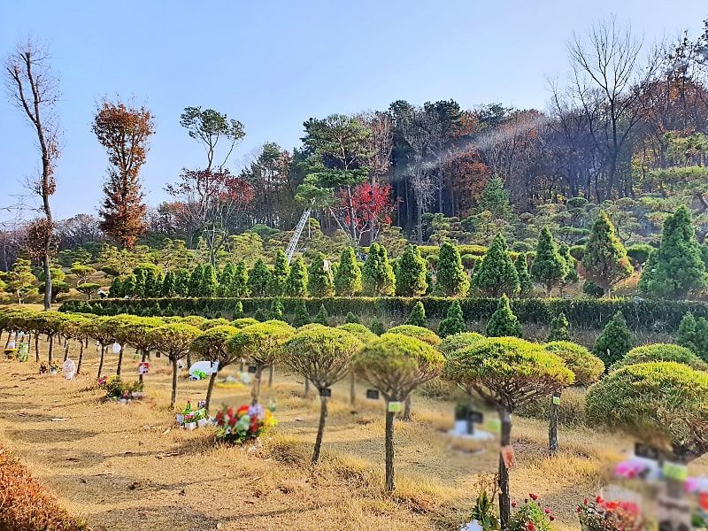일산수목장A