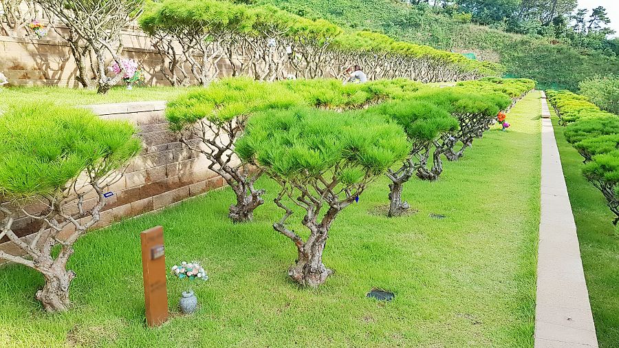 평택수목장