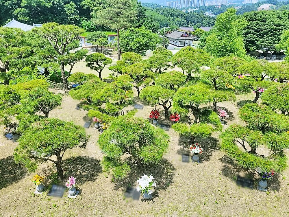 양평수목장