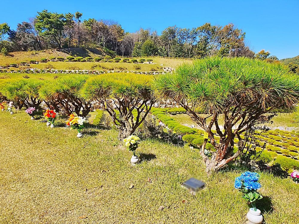 용인수목장A
